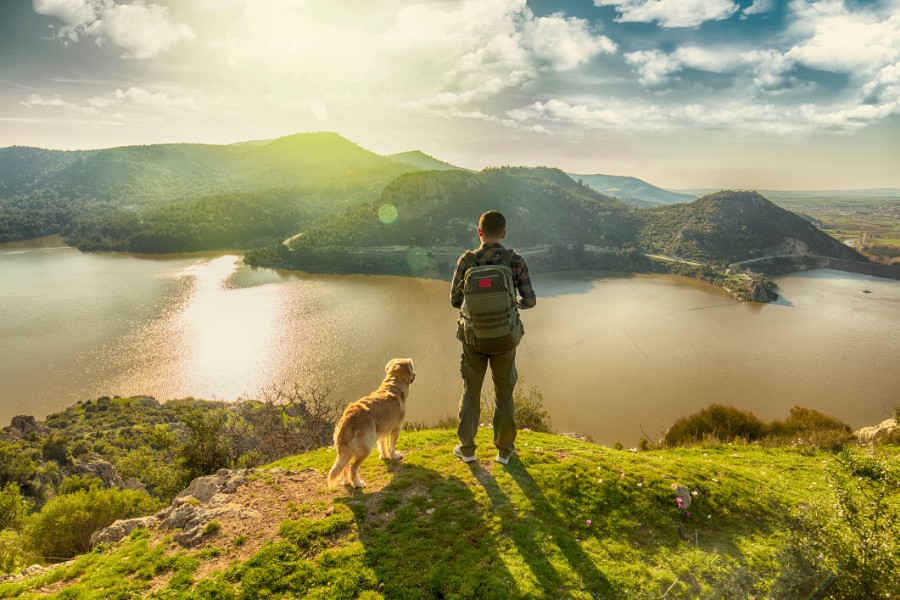 man and dog looking at river and mountains from on top of a hill